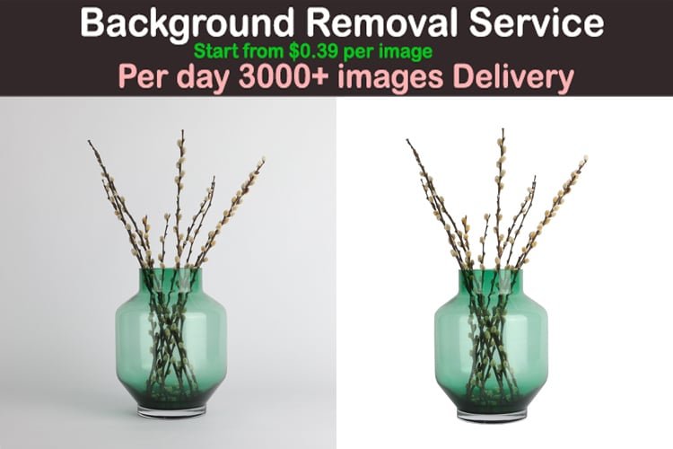 Background Removal